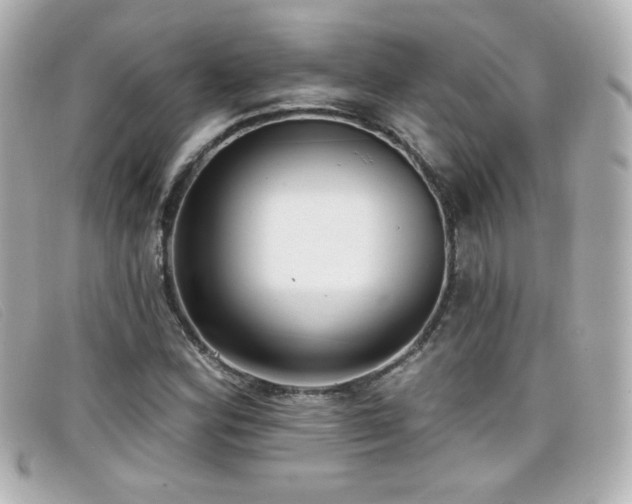 X0000099441164200805091306
