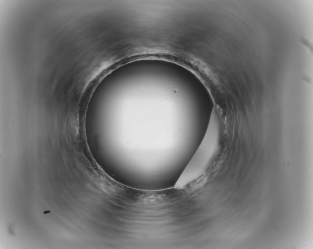 X0000099441165200805091306