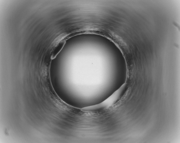X0000099441169200805091306
