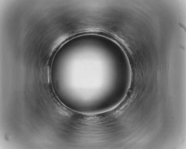 X0000099441171200805091306