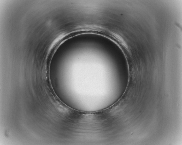 X0000099441172200805091306