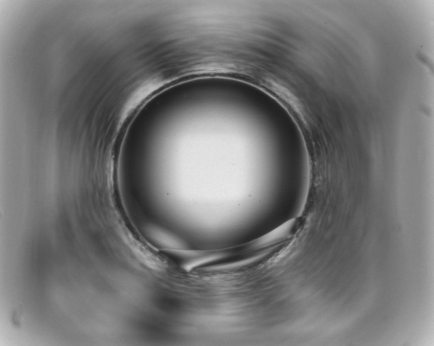 X0000099441179200805091306