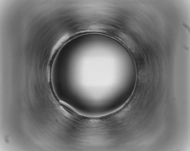 X0000099441180200805091306