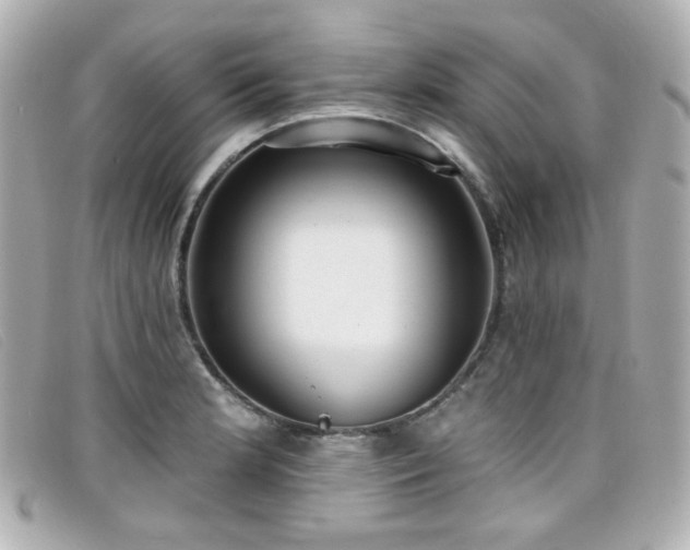 X0000099441181200805091305
