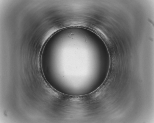 X0000099441182200805091305