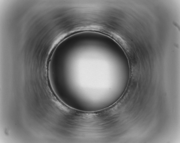 X0000099441184200805091305