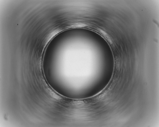 X0000099441186200805091305