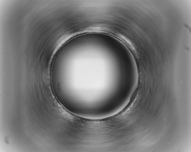 X0000099441192200805091305