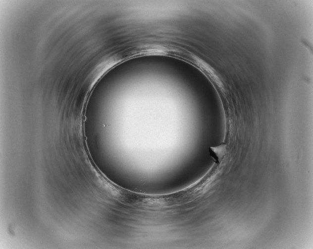 X0000099441194200805091305