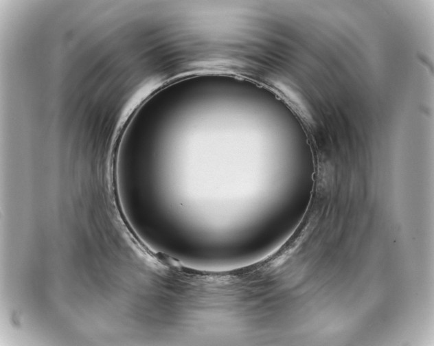 X0000099441196200805091305