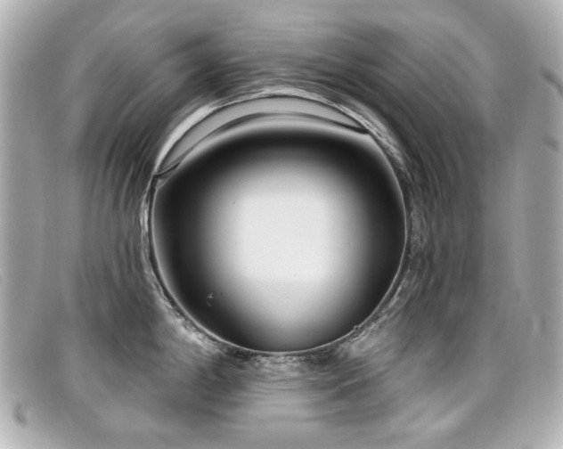 X0000099441198200805091305