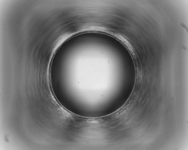 X0000099441199200805091305