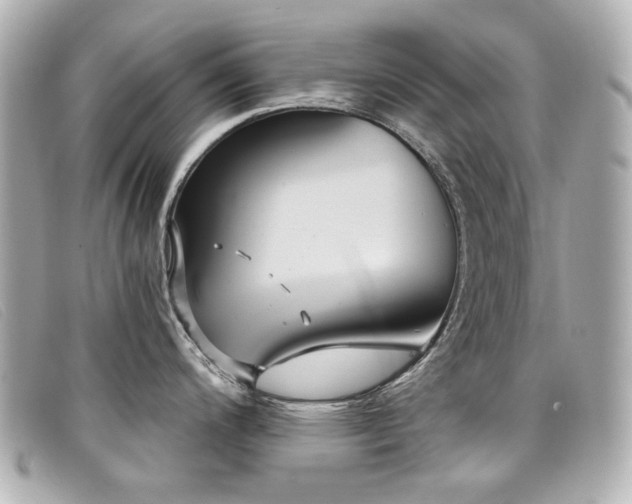 X0000099441200200805091305