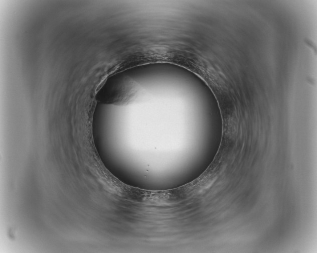 X0000099441201200805091305