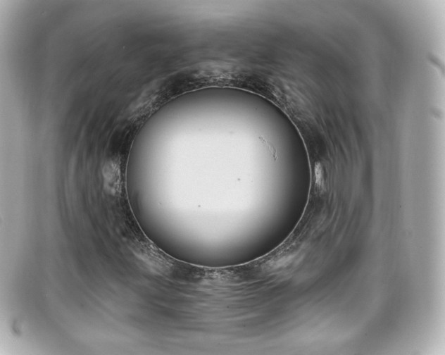 X0000099441203200805091305