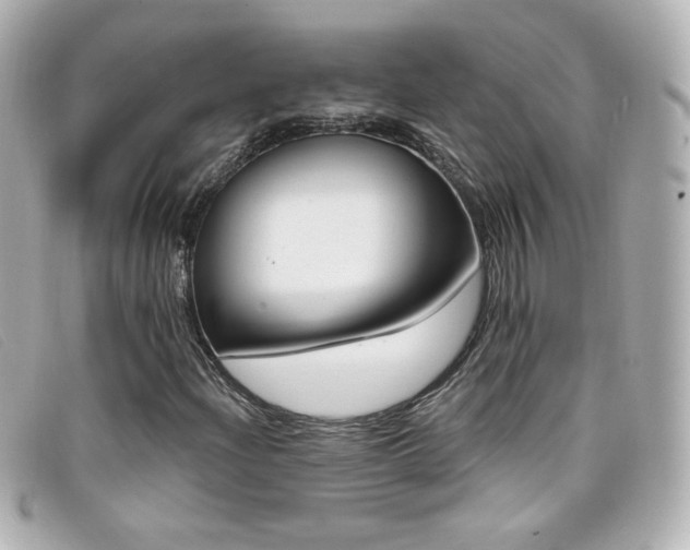 X0000099441204200805091305