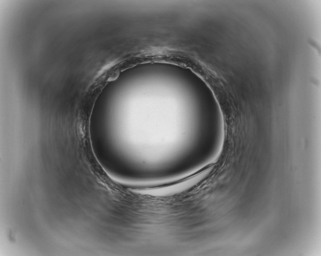 X0000099441206200805091305
