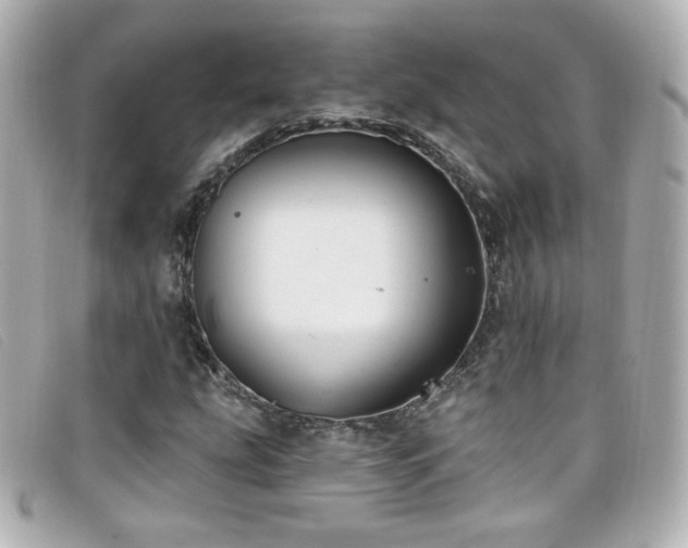 X0000099441207200805091305