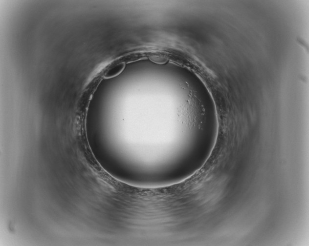 X0000099441208200805091305