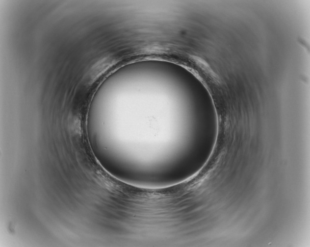 X0000099441209200805091305