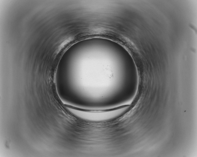 X0000099441210200805091305