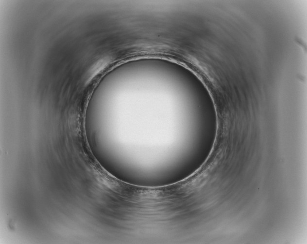 X0000099441211200805091305