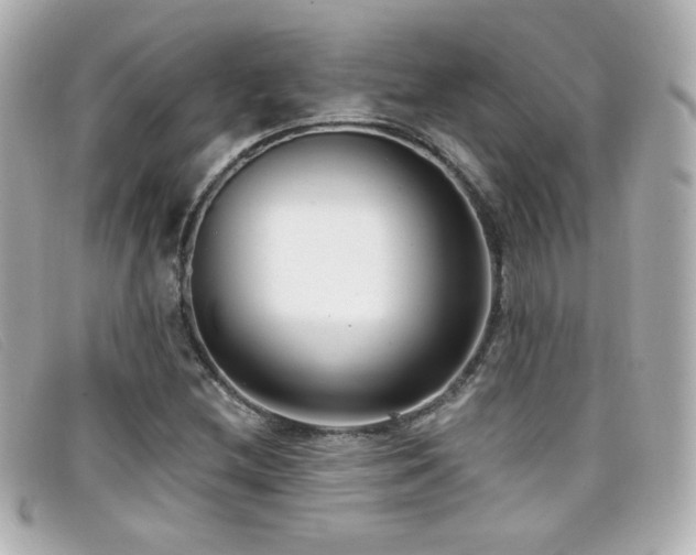 X0000099441212200805091305