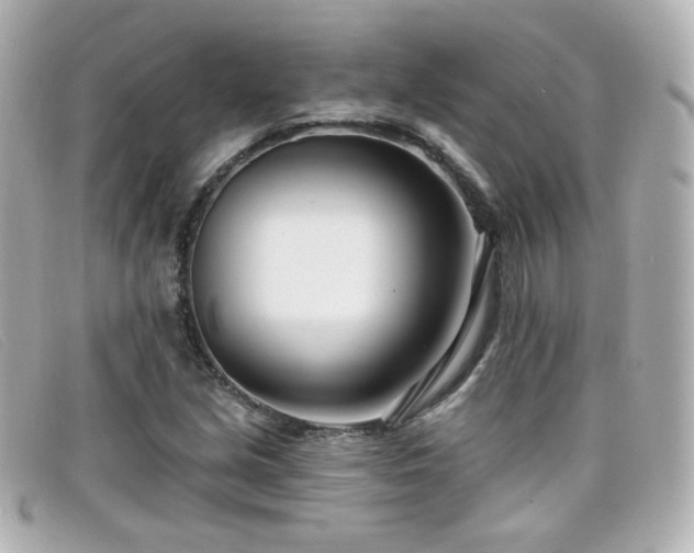 X0000099441213200805091305