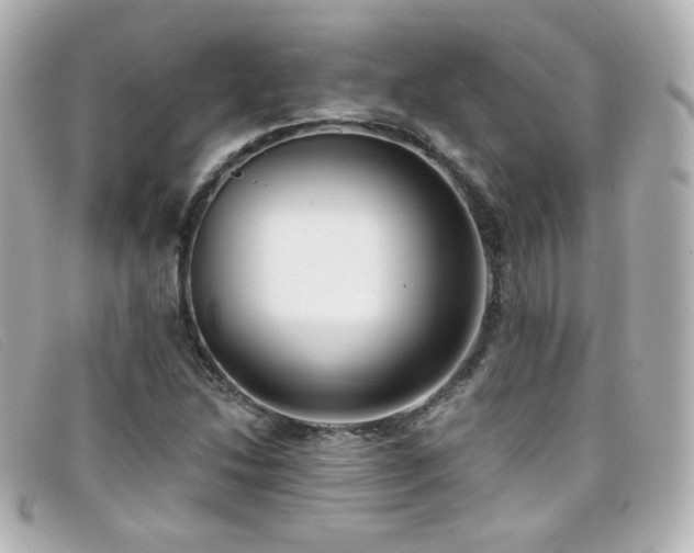 X0000099441214200805091305