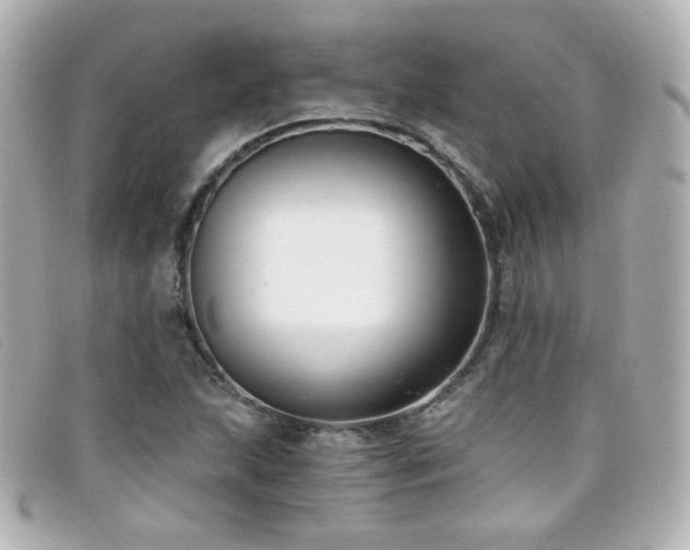 X0000099441215200805091305