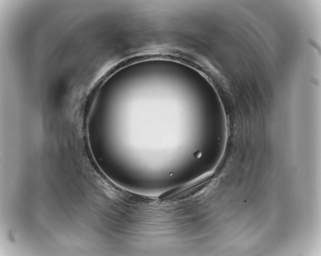 X0000099441216200805091305