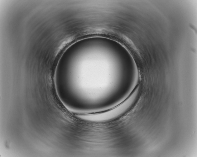 X0000099441218200805091305
