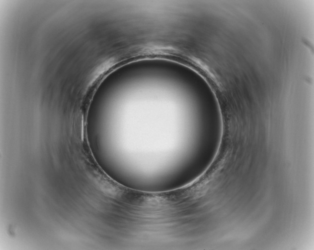 X0000099441219200805091305