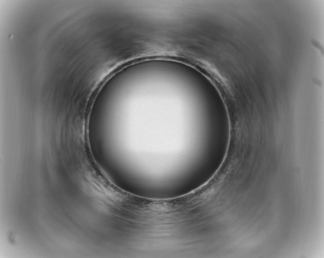 X0000099441220200805091305