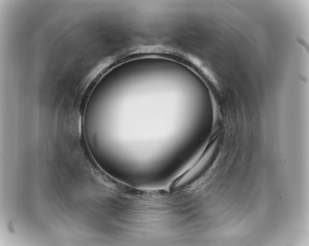 X0000099441221200805091305