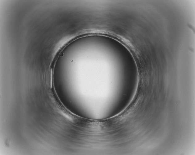 X0000099441223200805091305