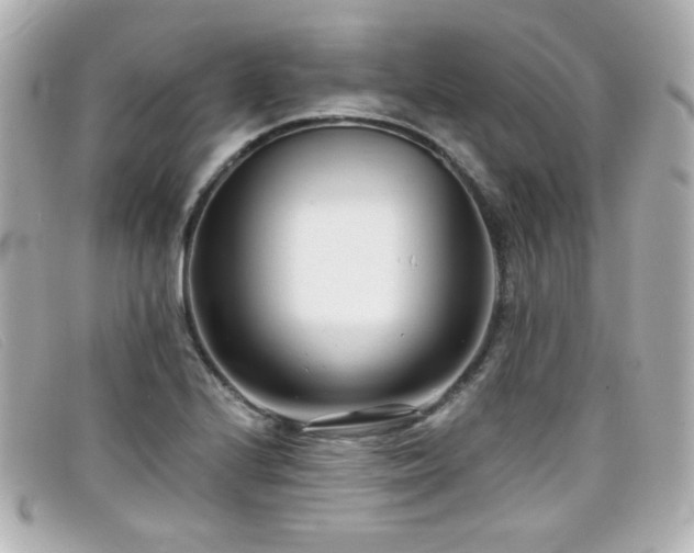 X0000099441224200805091305