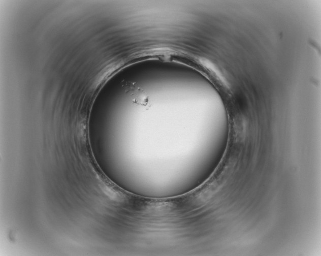 X0000099441225200805091305