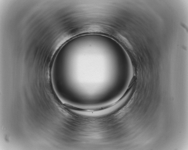 X0000099441226200805091305