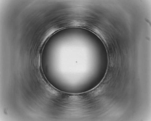 X0000099441227200805091305