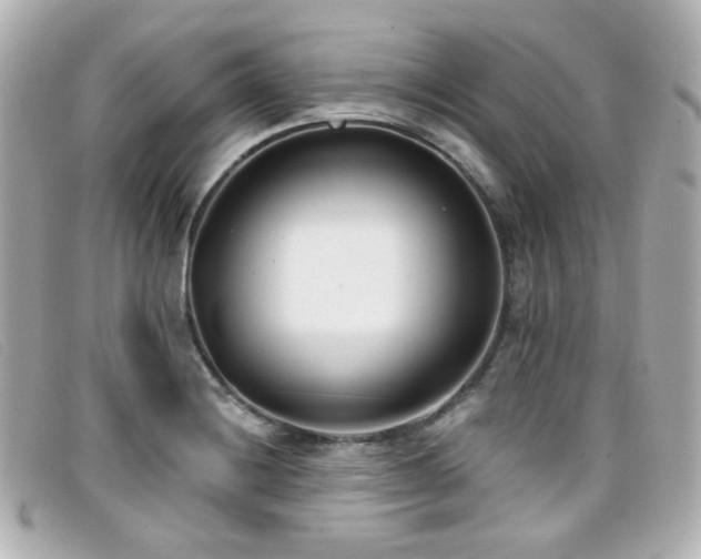 X0000099441228200805091305