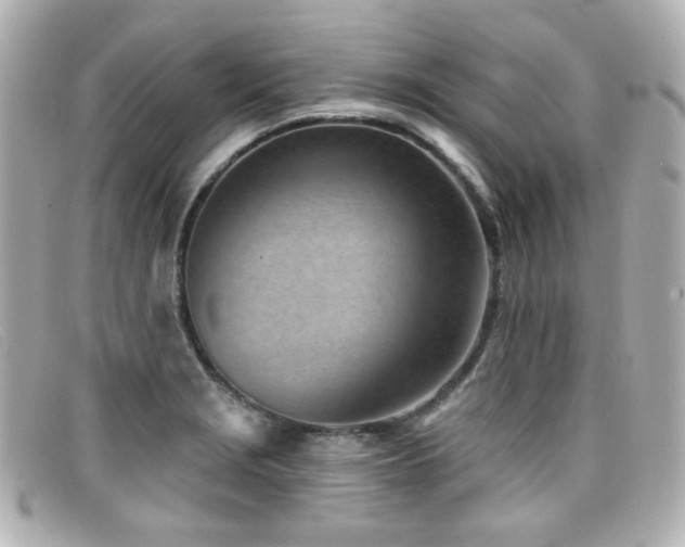 X0000099441229200805091305