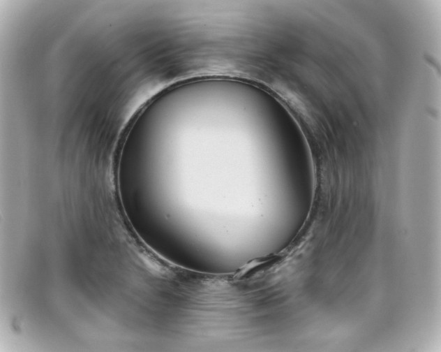 X0000099441230200805091305