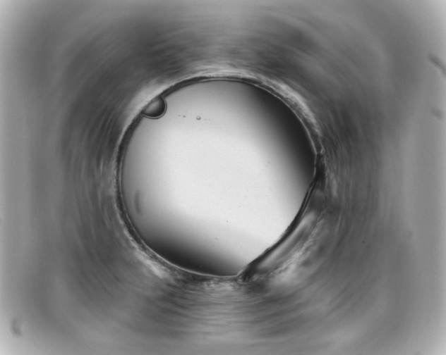 X0000099441231200805091305