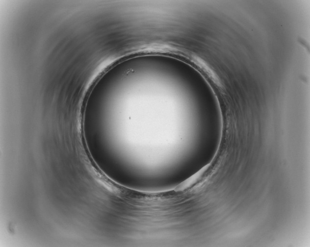 X0000099441232200805091305