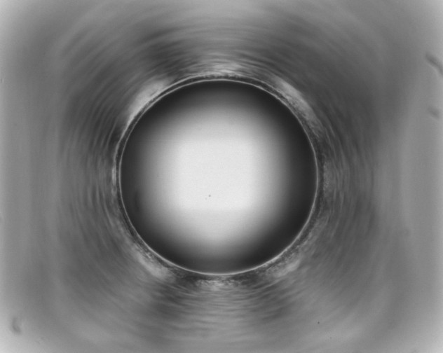 X0000099441234200805091305