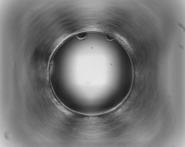 X0000099441236200805091305