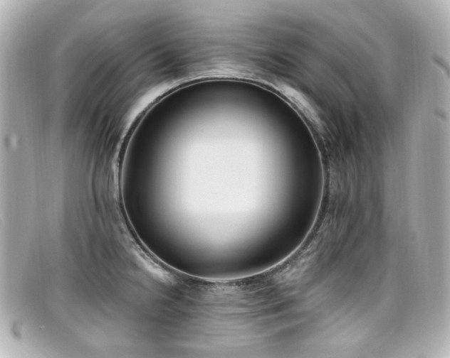 X0000099441238200805091305