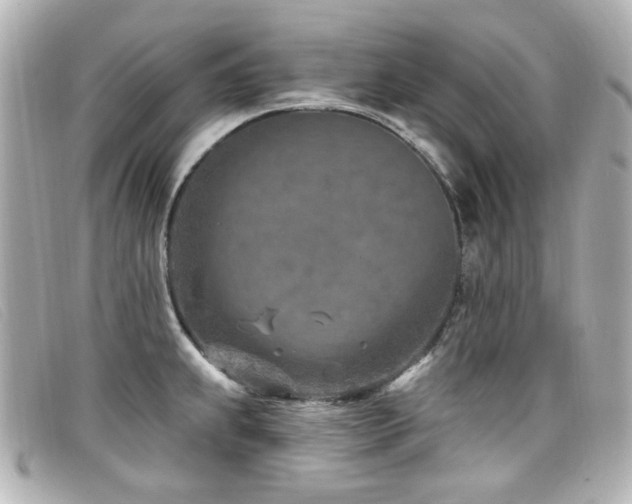 X0000099441239200805091305