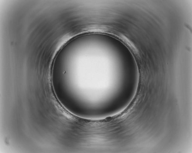 X0000099441240200805091305